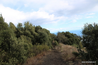 Monte Ilice
